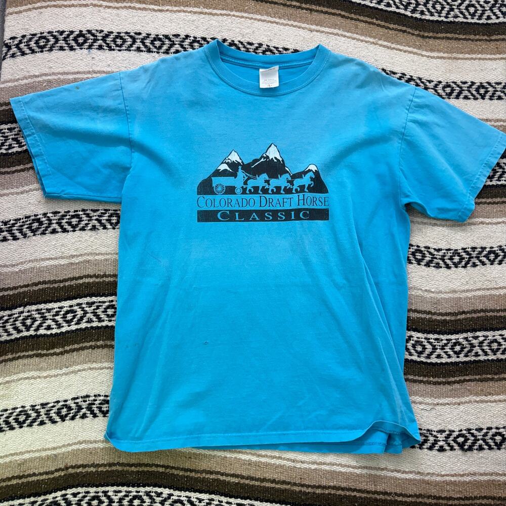Vintage 2000's Colorado Draft Horse Show Classic Faded Blue Black Shirt Sz Large